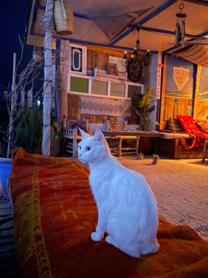 Agachill Surf House Bed & Breakfast Tamraght Екстериор снимка